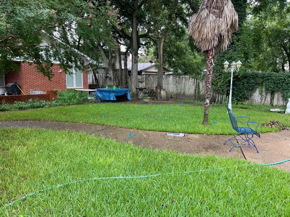 Green backyard lawn with trees