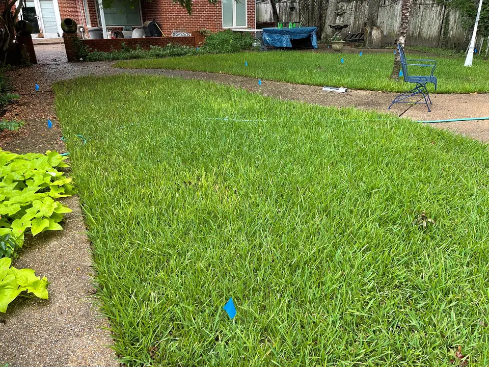 Green lawn beside a sidewalk with planted borders