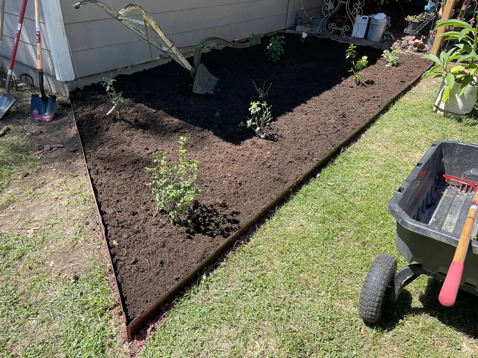 Newly dug planting bed along a fence with a wheelbarrow