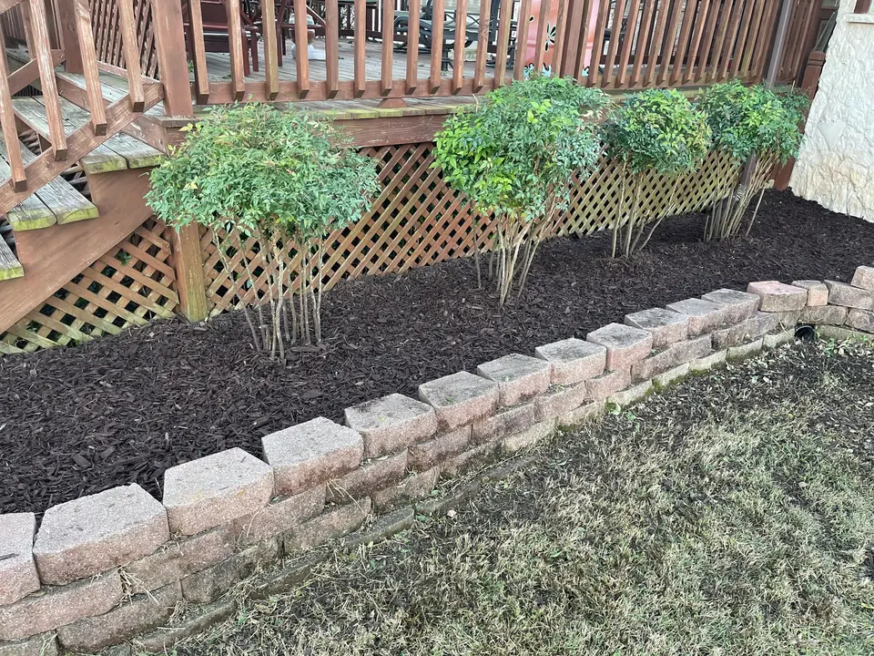 Shrubs in a fresh mulch bed with a block border along a deck